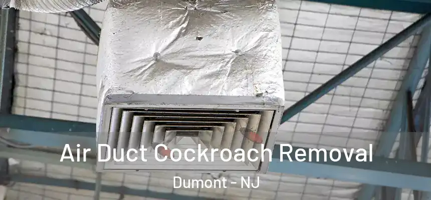 Air Duct Cockroach Removal Dumont - NJ