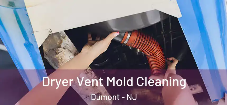  Dryer Vent Mold Cleaning Dumont - NJ