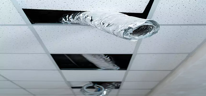 Our Air Duct Pet Hair Removal Services in Dumont, NJ