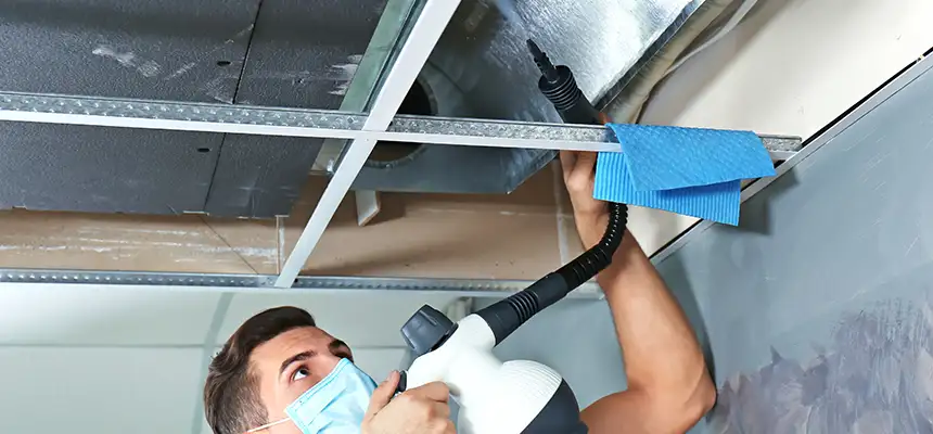 Our Air Duct Rodent Removal Services in Dumont, NJ