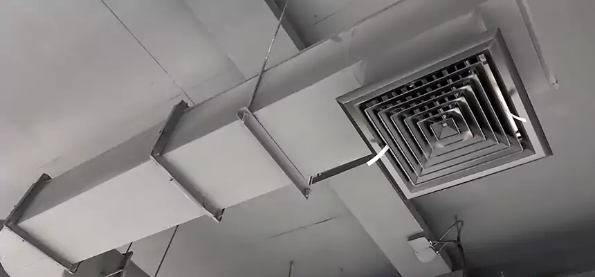 Our Pest Removal From Ducts Services in Dumont, NJ