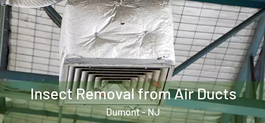  Insect Removal from Air Ducts Dumont - NJ