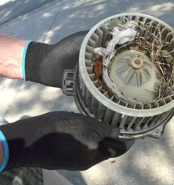 About Air Duct Mice Removal in Dumont, NJ