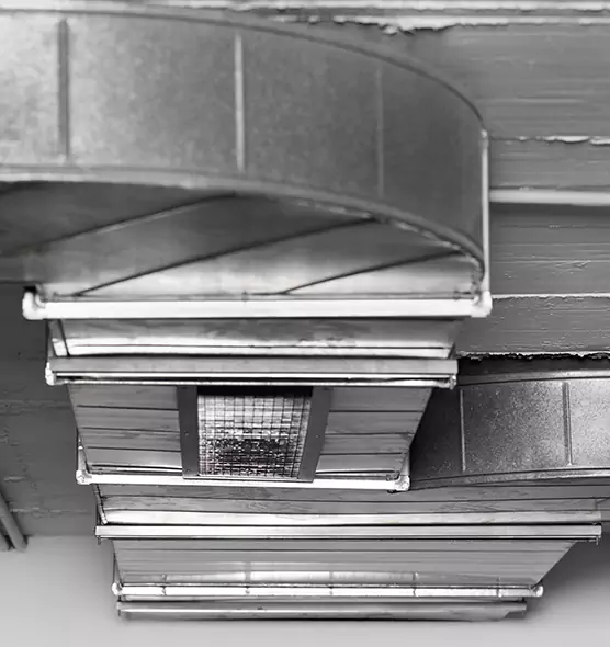 Professional Air Duct Pest Removal in Dumont, NJ