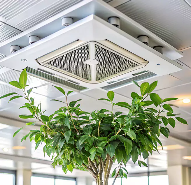 Why Homeowners & Businesses Trust Us in Dumont, NJ?